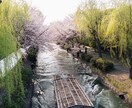 京都で“映える写真”撮影します 祇園・伏見稲荷・嵐山・清水寺など イメージ1