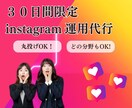 ３０日間限定 Instagram運用代行します 全て丸投げOK！他社様より安く、クオリティも追求！ イメージ1
