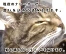 虹の橋を渡ったペット "想い出動画" つくります 「ありがとう。」　心に寄り添うナレーション。 イメージ9