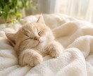 愚痴も相談も味方になっておはなし聞きます なんでもききます！話すのが苦手な方はチャットで！ イメージ1