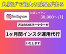 丸投げで最大の成果が出るインスタ引用代行いたします 100万再生連発のプロのマーケターが担当 イメージ1