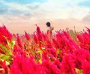 映える兵庫の旅プラン作成します 美しい景色や驚きの体験など映える旅を紹介します イメージ8
