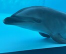 あなたの人生を教えます 理解することは愛すること。自分も、相手も。 イメージ1