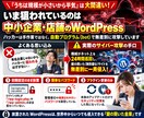 ホームページを個人情報流出・個人情報漏洩～守ります 貴社のワードプレスサイトを不正アクセスによる攻撃から守ります イメージ2