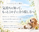 ペットの気持ちと家族への想いを文章で届けます 今いる子も旅立った子も、受け取った想いを文章でお届けします イメージ2