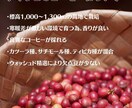 Amazonカタログ作成+広告+SEO行います カタログ作成から販促サポートまで致します。 イメージ3