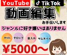 OP/ED依頼者限定！動画編集承ります OP/EDの世界観を活かした高品質編集！ イメージ1
