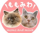 3種類ゲット★写真アイコン作ります デザインもご提案！ご自身やペットのアイコンを作りませんか？ イメージ1