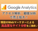 Googleアナリティクスでサイト分析しますます Webマーケティングのプロによる高品質な分析で、売上アップ！ イメージ1