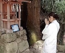 スッキリお悩み解決！視えたままお伝え致します 恋愛、結婚、人間関係、仕事、人生、ペットの気持ち等何でもOK イメージ2