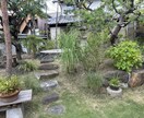 写真から剪定の切り方を提案します 木の状態を見て切り方を伝えます イメージ5
