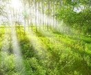 眠れない夜専用！彼の気持ち占います 「不眠症になる前に鑑定してスッキリ！しませんか？」 イメージ5
