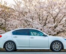 写真レタッチをします カメラの撮影法等も希望で有れば提供出来ればと思います。 イメージ2