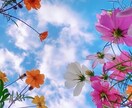 女性限定♡５分だけでも大歓迎！お話聴きます お話して一息つきましょ、ここではどんなあなたも大丈夫☘️ イメージ4