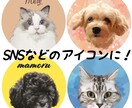 ペットの似顔絵制作します アイコンや、グッズ作成におすすめです！ イメージ1
