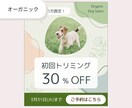 Instagram投稿画像1枚つくります 迷っている・不安な方も大丈夫！まずは1枚つくってみませんか？ イメージ5