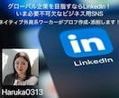 LinkedIn用のプロフを編集/作成します グローバルでは常識！就職、転職、ネットワーキングに不可欠！ イメージ1