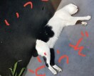ちょっと話したい・呟き・悩み何でも聞きます 3人の息子の母です！子育ての悩みや愚痴その他何でも聞きます。 イメージ2