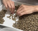 冷めても美味しい珈琲の秘訣を伝授します 豆選別の重要性を体験談と共にお伝えします イメージ1
