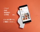 初めての方でも安心！ブログ・SNS記事を作成します 口下手でも大丈夫！あなたの想いを、ファンに愛される文章に！♡ イメージ5