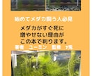 メダカを繁殖させる5原則動画で教えます パワーポイントを使ってメダカを繁殖させる5原則動画で公開 イメージ1