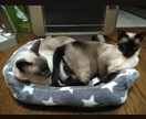 占い会社に所属経験あり。霊感霊視による鑑定致します 悩みのある方どなた様も、お気軽にお声がけください(^^) イメージ1