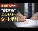 元市役所人事がエントリーシートを徹底的に添削します 2000人のESを審査した人事があなたのESを“合格仕様”に イメージ1