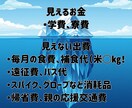 野球親専用のライフプラン作成します 強豪校の寮費や大学の仕送りまで…3年・7年の総額を可視化 イメージ3