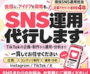 現役マーケターがSNS運用を代行・サポートします 小売企業でのマーケティングの実績をもとに運用・サポート イメージ1
