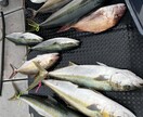 釣り初心者の方にアドバイス致します 釣り初心者方に分かりやすくアドバイスいたします！ イメージ4