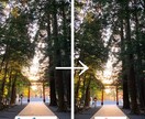 大切なお写真に映り込んだ不要な人。物。消去します 〜より大切なお写真にさせていただくためのサポート〜 イメージ2