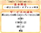 最短翌日納品！かわいく映えるアイコン描きます テンプレート使用にて簡単に注文！迅速に納品できます！ イメージ2
