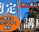 YouTubeのサムネ制作します 【実績あり】初心者向けYouTubeサムネをCanvaで制作 イメージ4