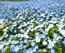 現役セラピストがあなたのお話をお伺いします ♡お試し一分からOK♡お悩みや愚痴、世間話なんでもどうぞ！ イメージ7