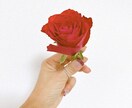 恋愛、あなたの気持ちを深掘りして背中を押します 片思い、両片思い、ご夫婦やカップルのご相談、どなたでもOK イメージ1