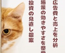 小規模宿泊施設向け｜集客施策を診断し改善提案します 元旅行会社スタッフが施策・広告を分析、改善のヒントをお届け！ イメージ5