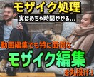 モザイク編集を承ります 【3,000円～】面倒なモザイク処理を丸投げ！ イメージ1