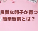良質な卵子が育つ簡単習慣が手に入ります 採卵で全滅を経験した後3ヶ月で不妊体質から脱却できた簡単習慣 イメージ1