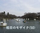 1分200円～】格安で簡単なモザイク編集します 格安で即納！見積依頼は無料！！まずはご相談ください！ イメージ3