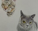 お家の猫ちゃんの似顔絵描きます 色鉛筆で丁寧に仕上げます！！お顔中心に描かせて戴きます。 イメージ8