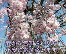 乳がんについての相談、不安に寄り添います 若年性乳がん経験者で仕事しながら治療できました(^^) イメージ1