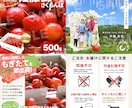 ECサイト等の画像を作成いたします バナー･ECサイト用･インスタグラム用などにご利用ください！ イメージ4