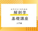 施術に活かせる解剖学教えます 骨格・筋肉・関節のしくみをわかりやすく、モヤモヤの解決！ イメージ1