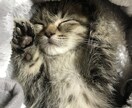 介護の悩みお聞きします 介護で周りには言えない悩みや弱音聞きます。 イメージ1