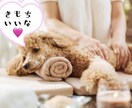 心地よいレイキエネルギーを30分間お届けします 定期購入特典もあります|•'▽'•)੭ イメージ1