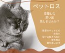 猫ペットロス～大切な思い出話、お聴きします ペットロス・猫・楽しかった思い出、悲しい気持ち話しませんか？ イメージ1