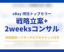 eBay 戦略立案+2週間みっちりコンサルします スタート割引中！ 初回面談＋リサーチビデオチャット付き イメージ1