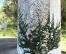 月星座✳︎潜在意識を紐解き軽やかな生き方教えます 鑑定歴15年月星座の欠損を紐解き本来の太陽星座で生きよう！ イメージ5