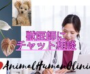チャットで獣医師に相談できます いつでもどこでも気軽に獣医師チャット相談！ イメージ1