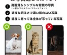 ３頭対応【うちの子名刺】を制作します ひときわ目を惹くペット名刺、プロデザイナーへお任せ下さい イメージ7